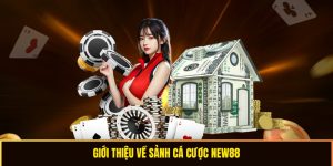 Giới thiệu về nhà cái casio 880